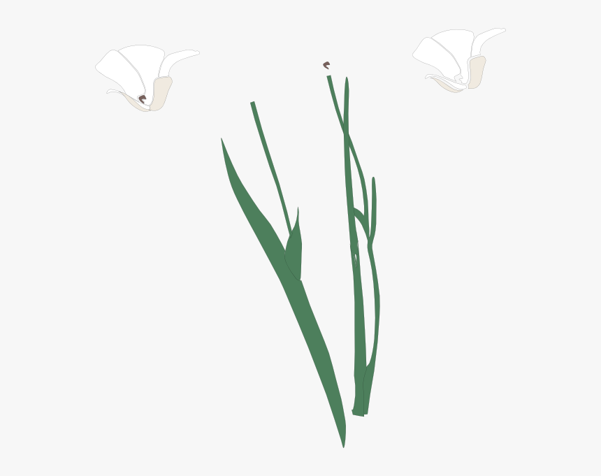 Sketch, HD Png Download, Free Download