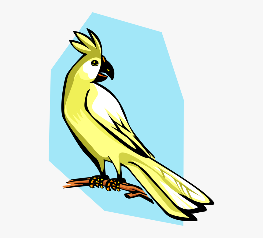 Vector Illustration Of Cockatoo Parrot Bird - Kartun Burung Dipohon, HD Png Download, Free Download