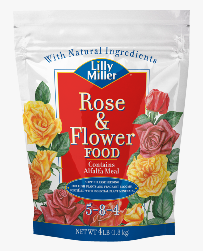 Lilly Miller Rose And Flower 5 8 - Hybrid Tea Rose, HD Png Download, Free Download