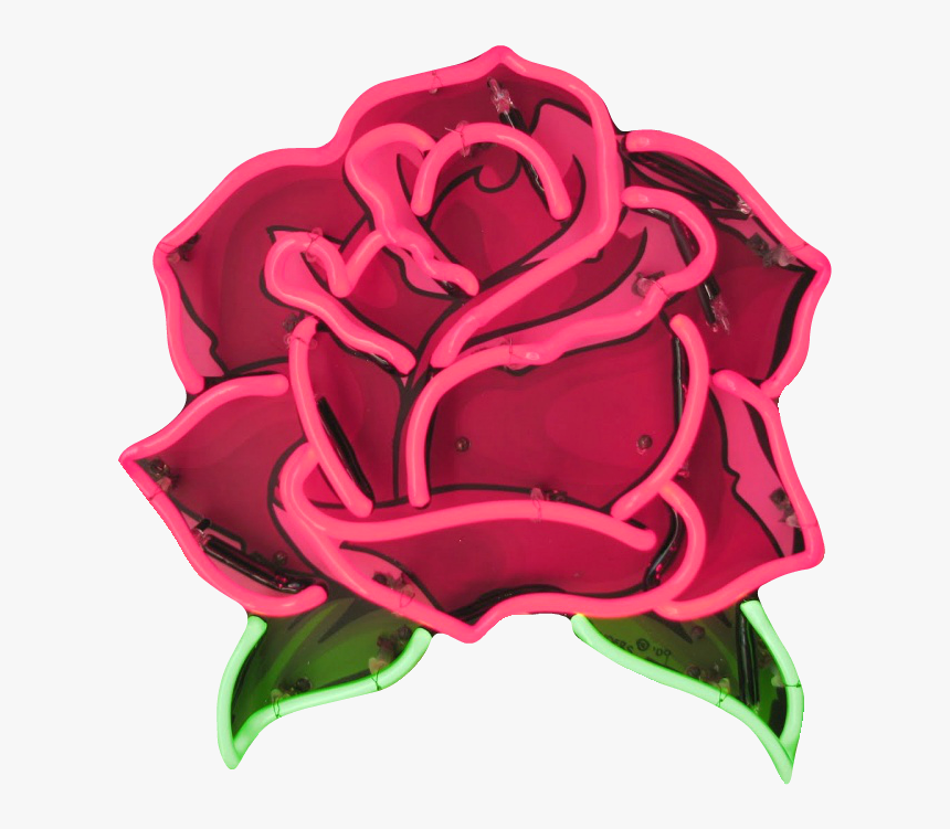 #rose #plant #nature #sticker #png #transparent #overlay - Transparent Neon Signs Png, Png Download, Free Download