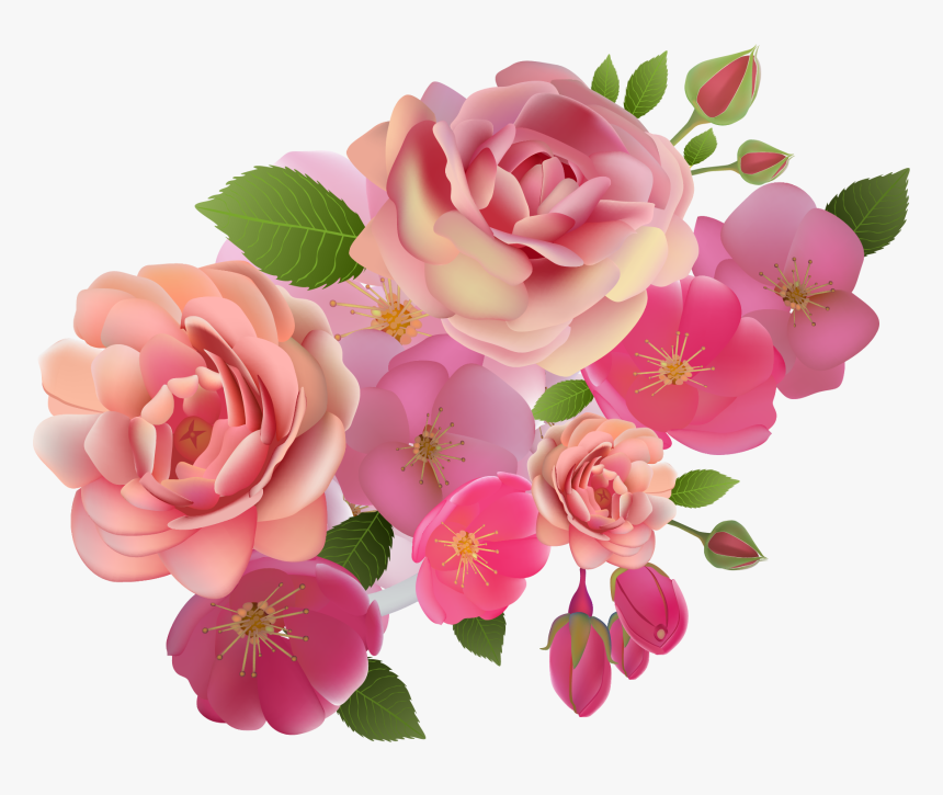 Floribunda, HD Png Download, Free Download