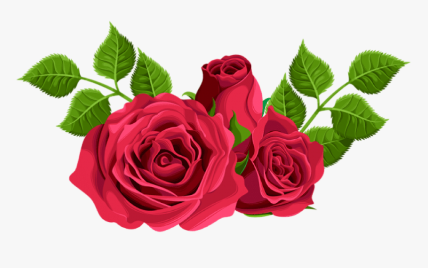 Transparent Picking Flowers Clipart - Hybrid Tea Rose Png, Png Download, Free Download