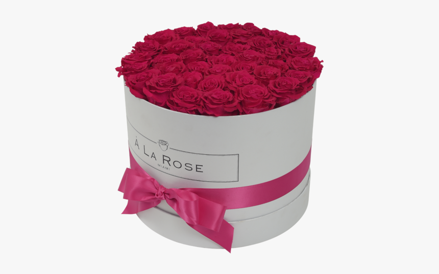 Orb Grand Hot Pink Roses"
 Class="lazyload Lazyload - Garden Roses, HD Png Download, Free Download