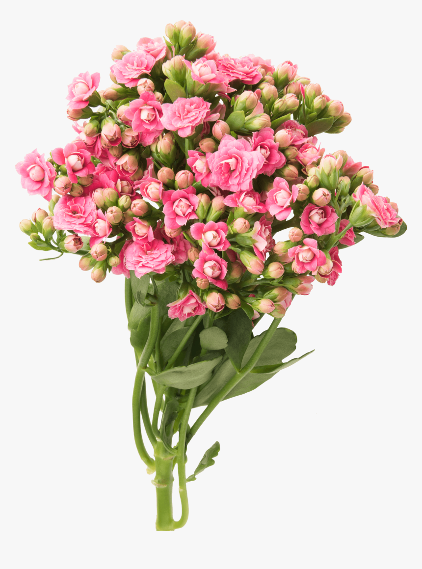 Bouquet, HD Png Download, Free Download