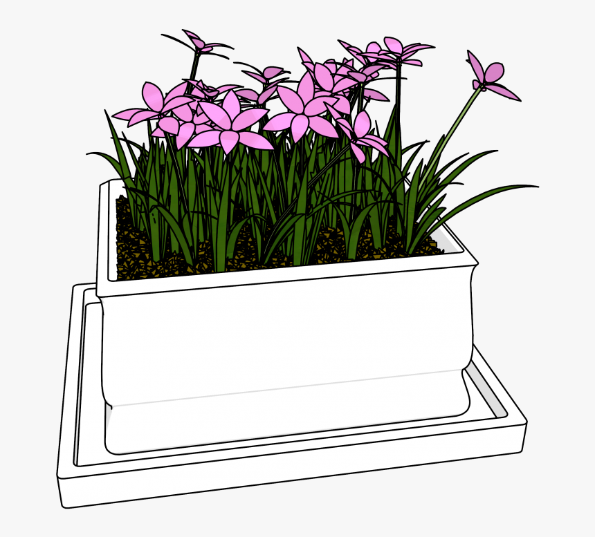 Flowers Bucket Clipart Download Hd Picture - Pogonia Japonica, HD Png Download, Free Download