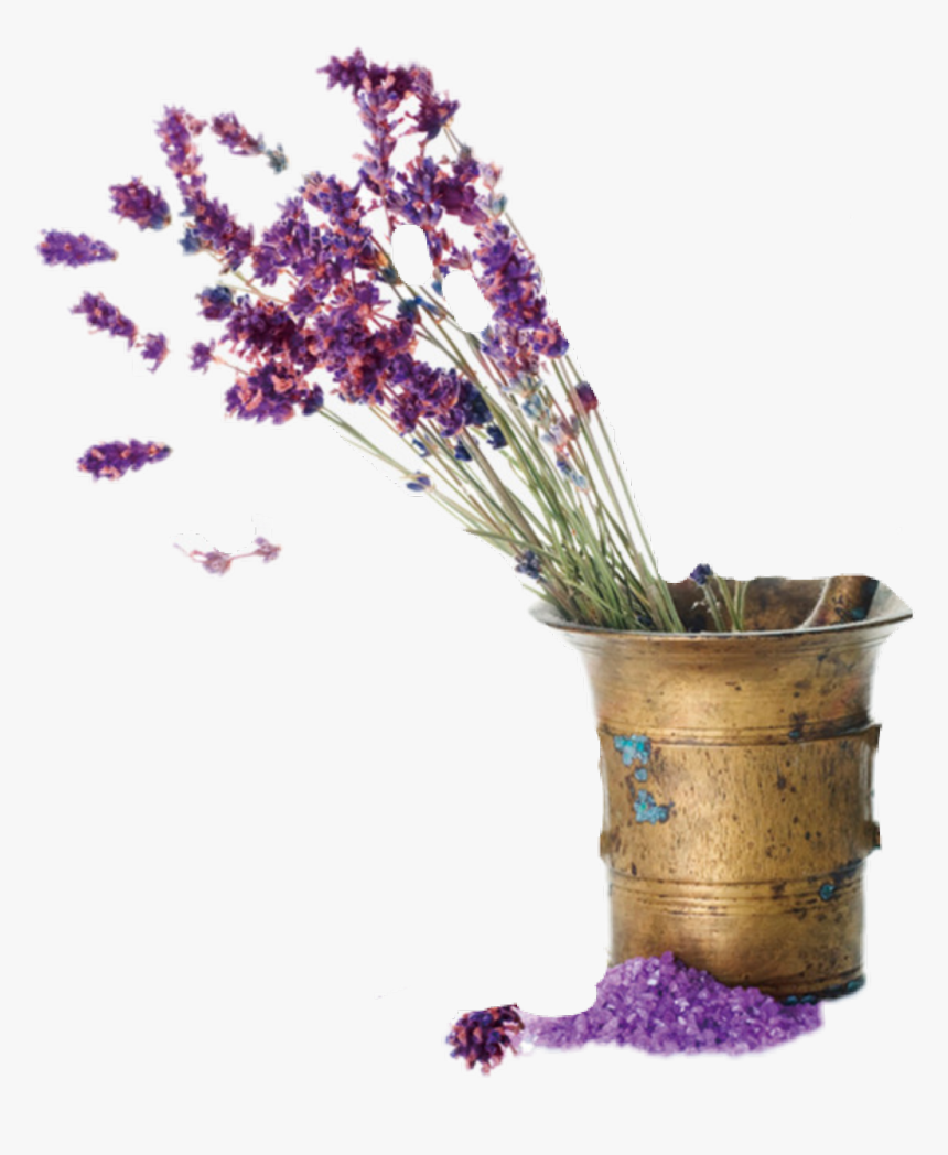 #lavender #flowers #bucket #stems - 伊 聖 詩 精油, HD Png Download, Free Download