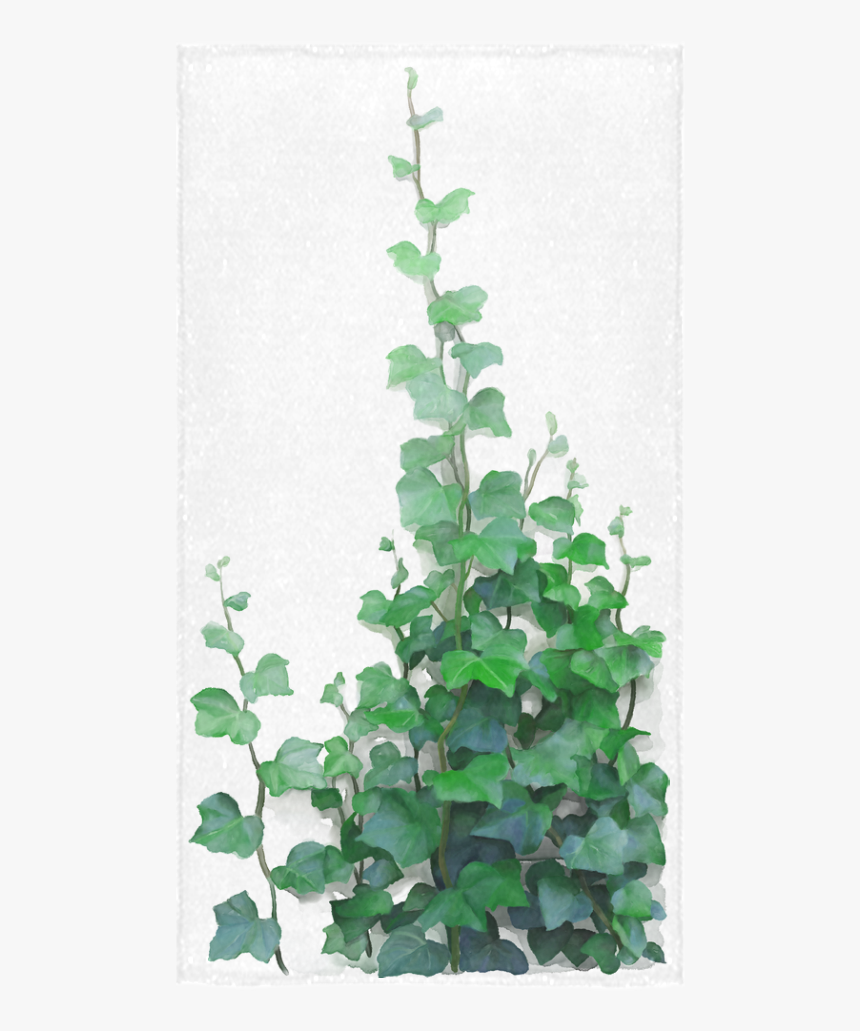 Vines, Climbing Plant Bath Towel 30"x56" - Watercolor Vines, HD Png Download, Free Download