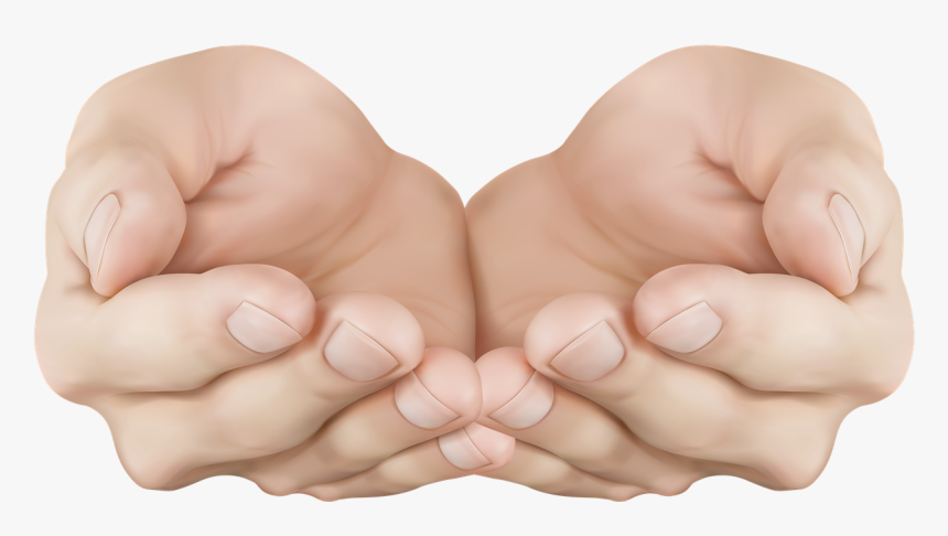 Hand Png Image Free Download - Cupped Hand Transparent, Png Download, Free Download