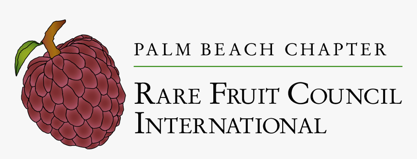 Palm Beach Chapter Of The Rare Fruit Council International, HD Png Download, Free Download