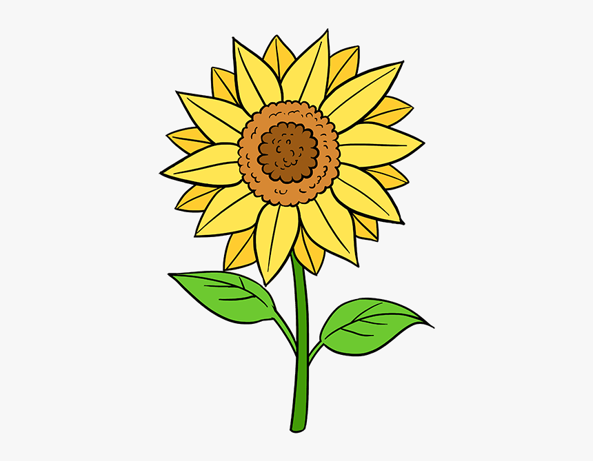 Pretty Flower Drawing Pictures And Cliparts, Download - Easy To Draw Sunflo...