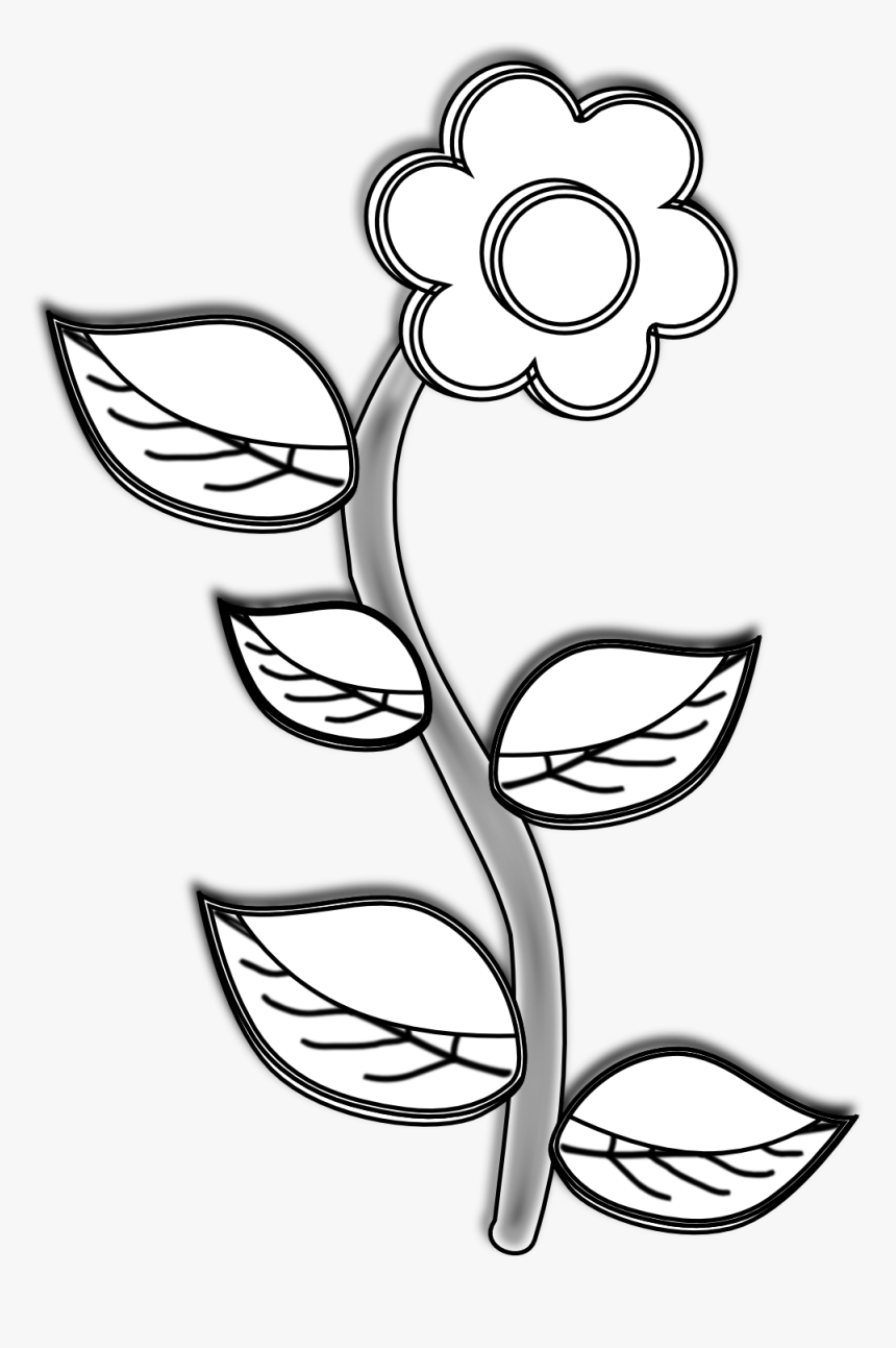 Pictures Of Flower Drawings - Plant In Black And White, HD Png Download, Free Download