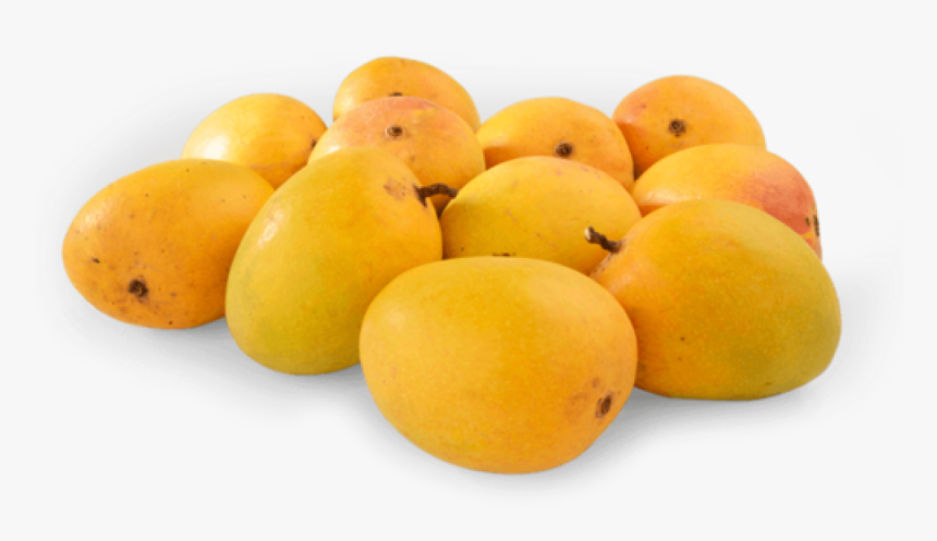 Transparent Mango Clipart - Ratnagiri Alphonso Mango Png, Png Download, Free Download