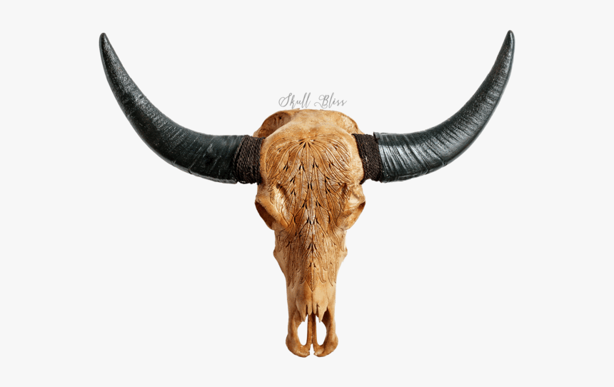 Bull, HD Png Download, Free Download