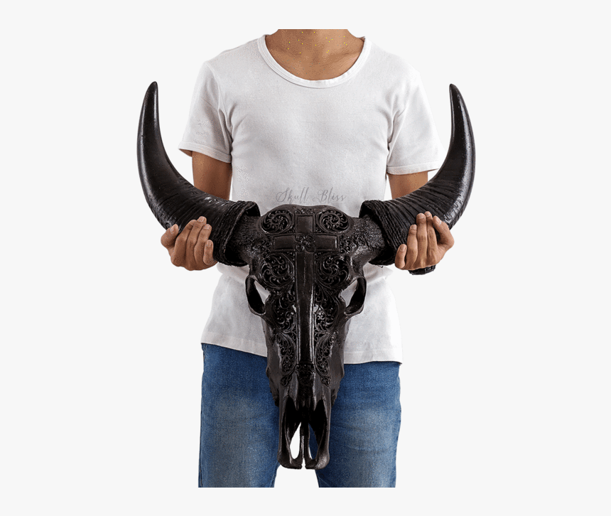 Skull Variant Skull Only - Horn, HD Png Download, Free Download