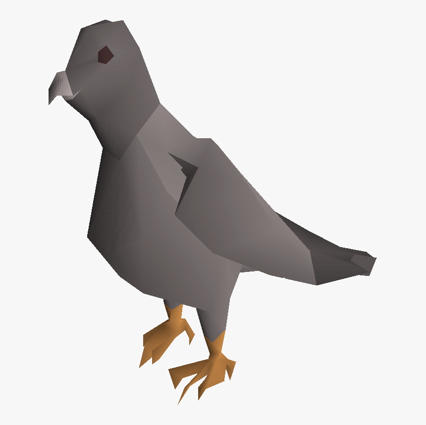 Pigeon Png Pic - Runescape Pigeon, Transparent Png, Free Download
