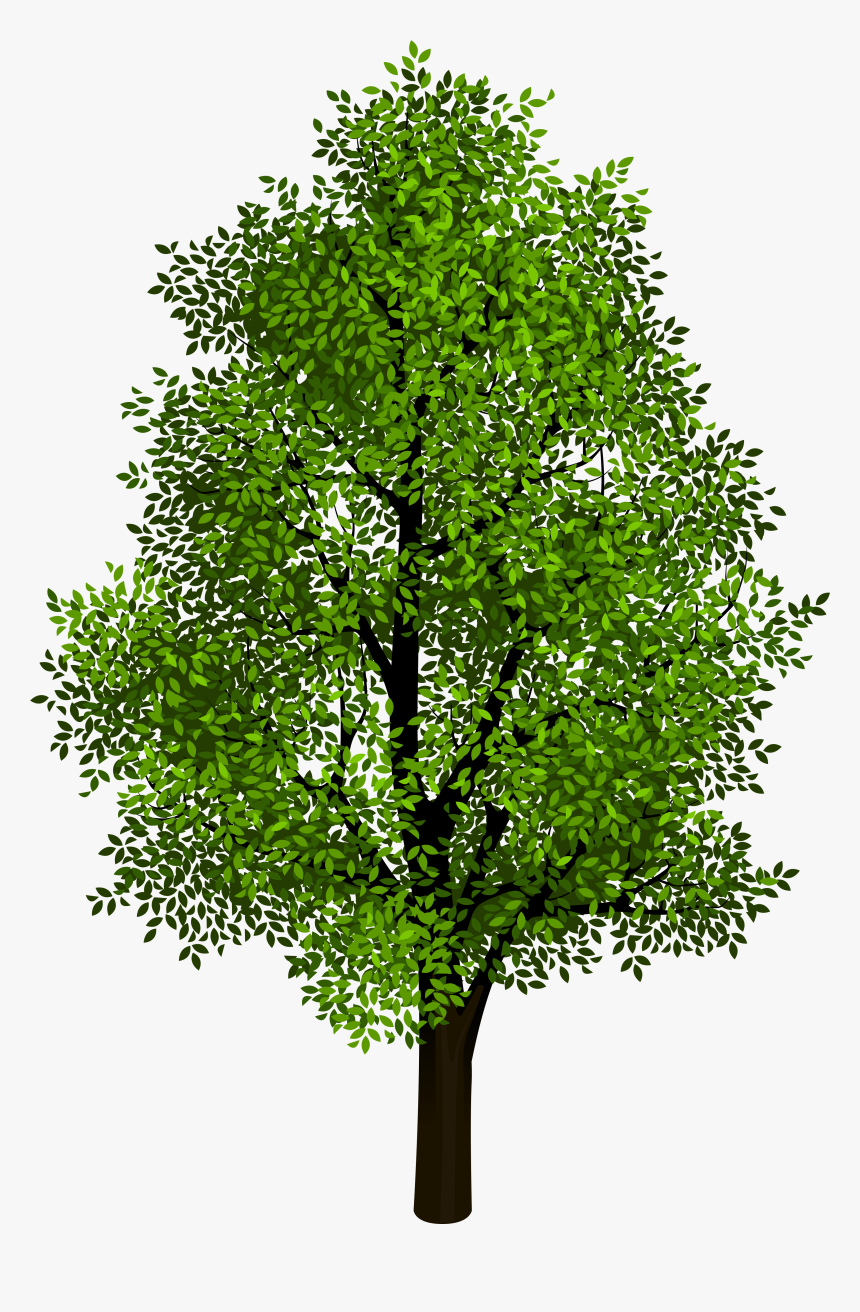 Transparent Airplane Clipart No Background - Tree Transparent, HD Png Download, Free Download