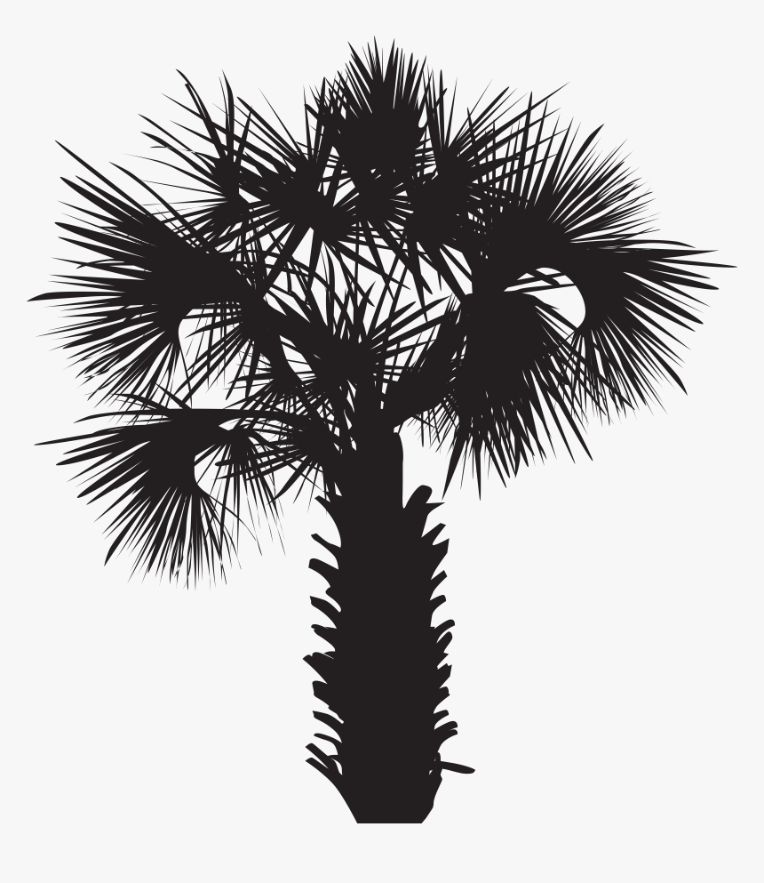 Palm Clipart Palmetto Tree, HD Png Download, Free Download