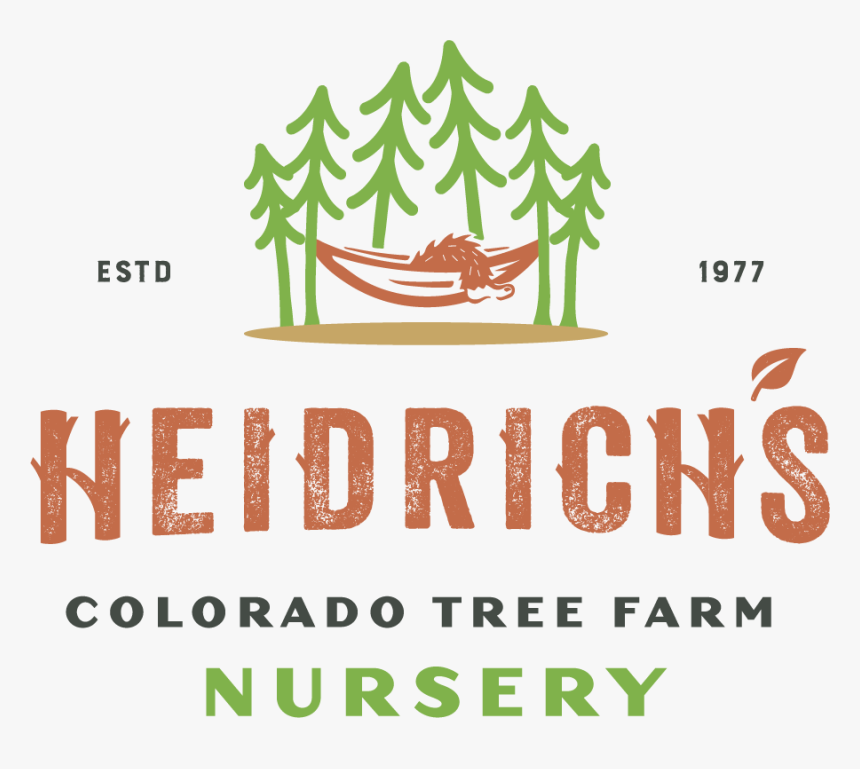 Colorado Tree Farm, HD Png Download, Free Download