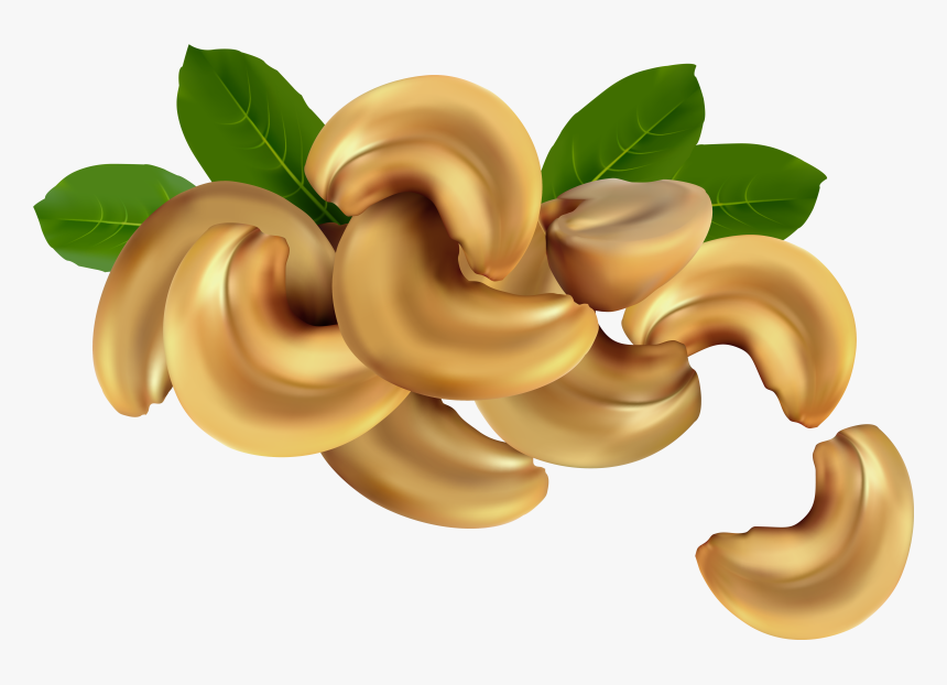 Cashew Nuts Png Clipart Image - Cashew Clipart Png, Transparent Png, Free Download