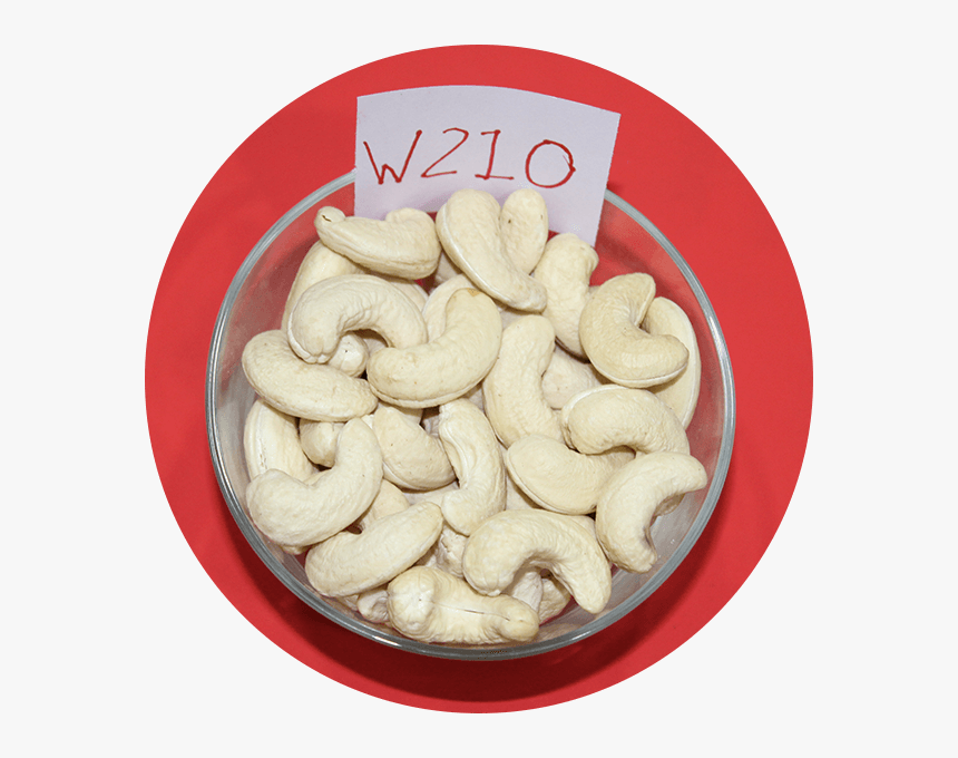 Cashew, HD Png Download, Free Download