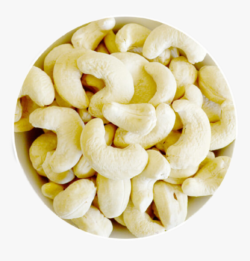Clip Art Dry Fruit Supplier Cashew - Cashew Nuts, HD Png Download, Free Download