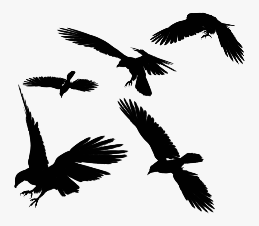 Raven Flying Png Photos - Free Eagle Silhouette, Transparent Png, Free Download