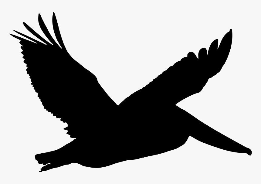 Brown Pelican In Flight Silhouette Clip Arts - Brown Pelican Png, Transparent Png, Free Download