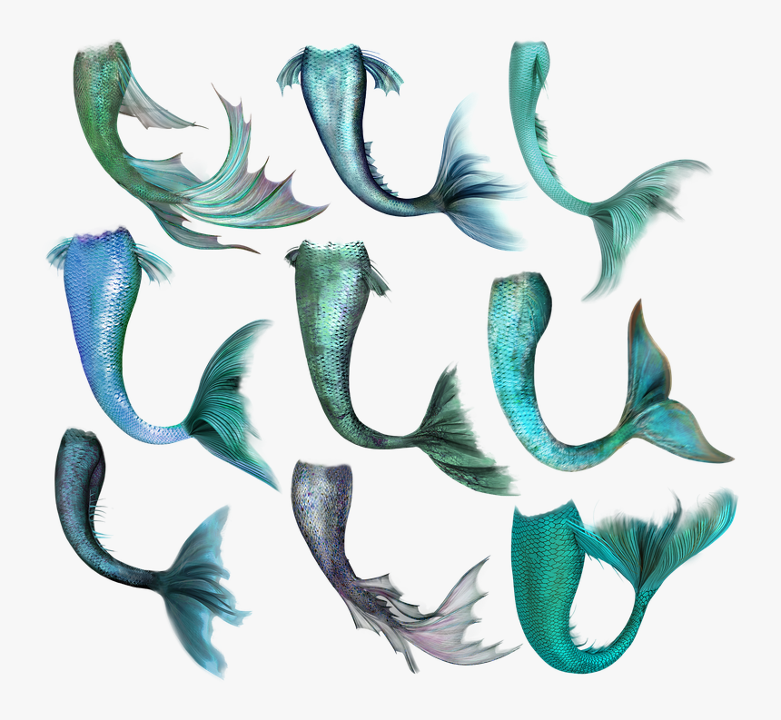 Mermaid, Fish, Tail, Merrow, Fantasy, Magic, Creature - Mermaid Tail Transparent, HD Png Download, Free Download