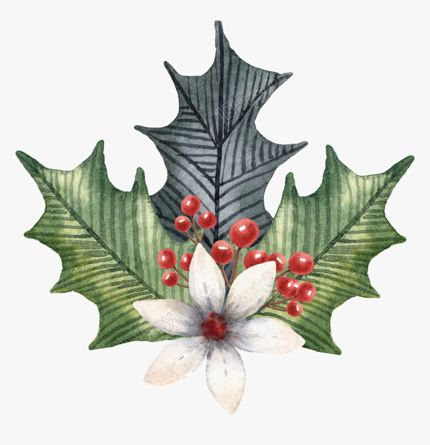 Holly Leaves Png - Illustration, Transparent Png, Free Download