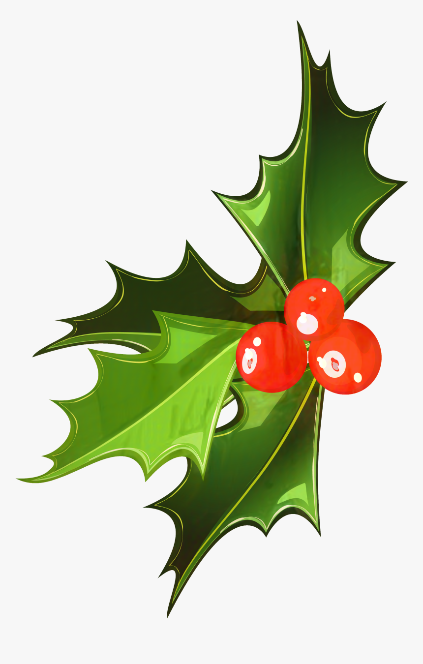 Mistletoe Clipart Vector - Mistletoe Clipart Transparent, HD Png ...