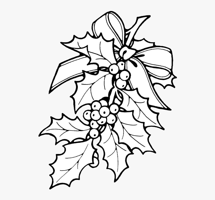 Printable Christmas Ornament Patterns Christmas Holly - Christmas Holly Coloring Pages, HD Png Download, Free Download