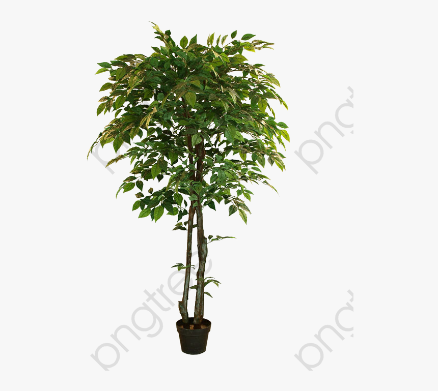 Realistic Mango Tree Clipart - Ghiveci Floare Artificiala Mare, HD Png Download, Free Download