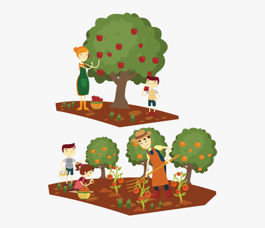 Cartoon Farmer Home - Apple Tree Picking Cartoon, HD Png Download, Free Download