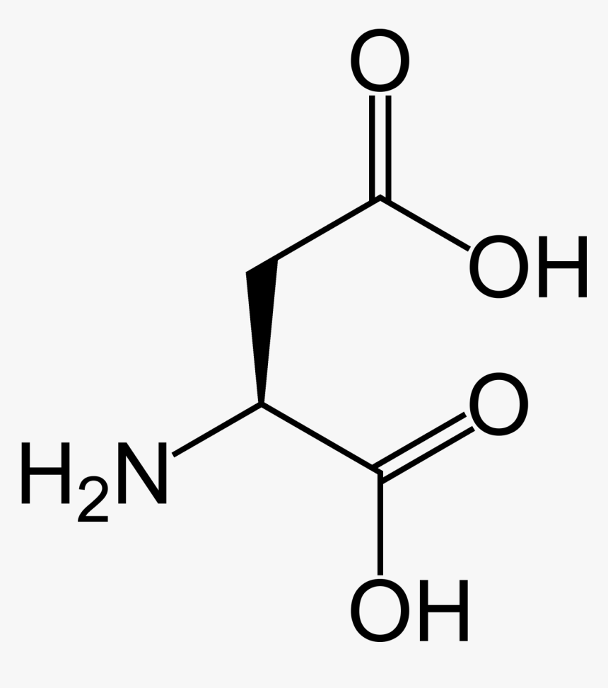 L Aspartic Acid - Isoleucine Leucine, HD Png Download, Free Download