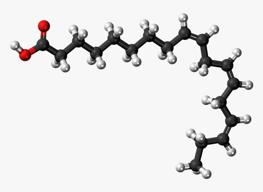 Alpha Linolenic Acid, Fatty Acid, Unsaturated, Molecule - Linoleic Acid 3d Structure, HD Png Download, Free Download