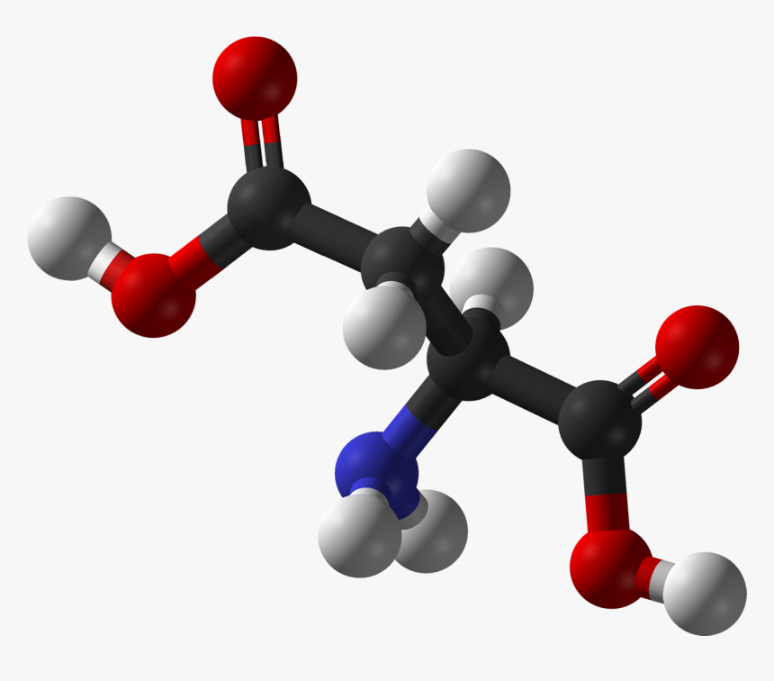 L Aspartic Ac - 3d Structure Of Aspartic Acid, HD Png Download, Free Download