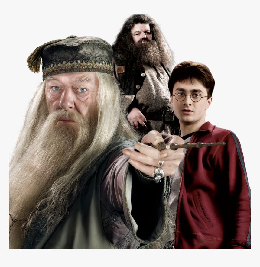 Harry Potter Dumbledore Harry Hagrid - Harry Potter Dumbledore And Hagrid, HD Png Download, Free Download