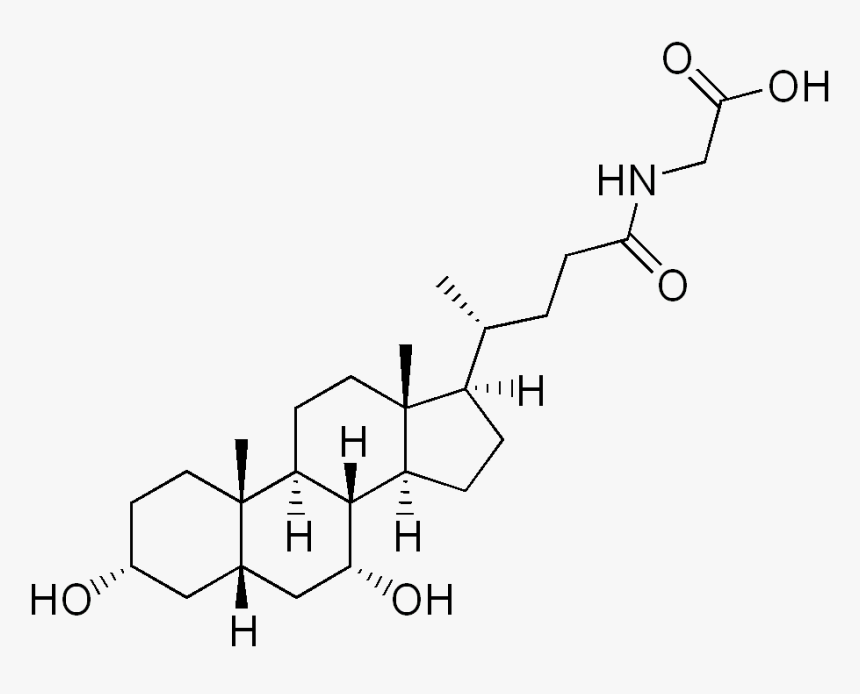 Glycochenodeoxycholic Acid - Alpha Muricholic Acid, HD Png Download, Free Download