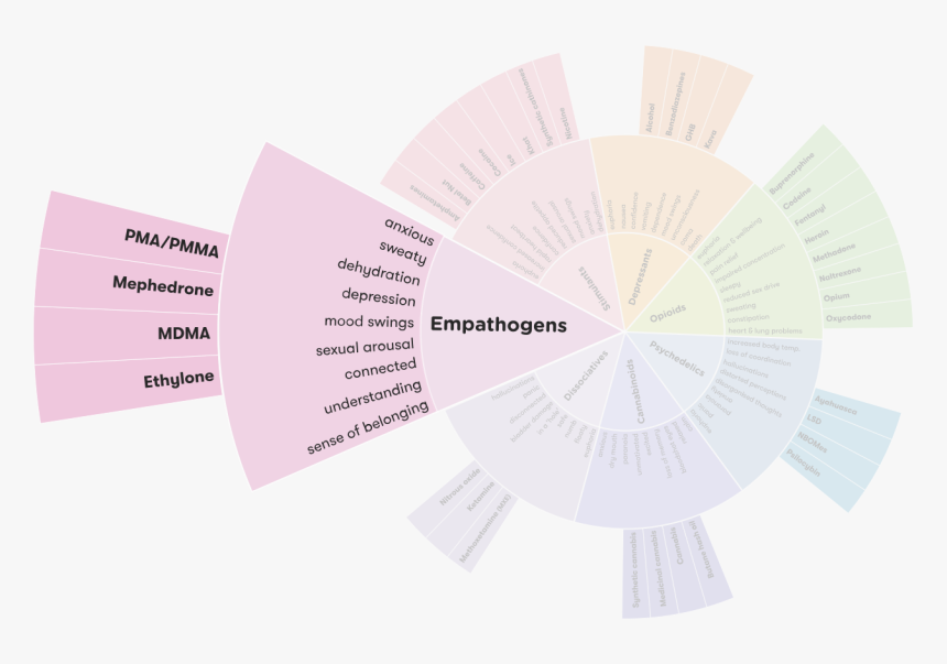 Drug Wheel Segment - Adf Drug Wheel, HD Png Download, Free Download