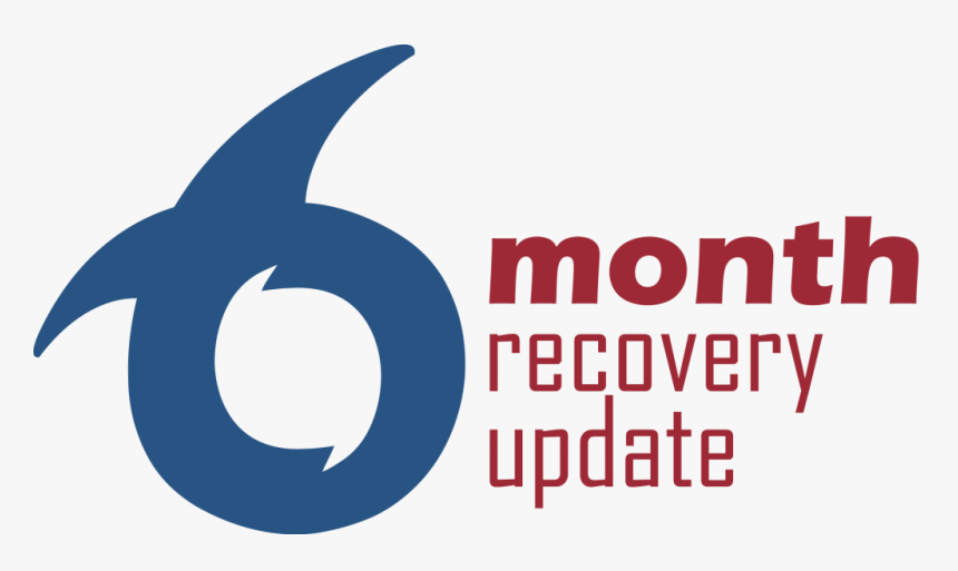 6 Month Recovery Update - 6 Months Report, HD Png Download, Free Download
