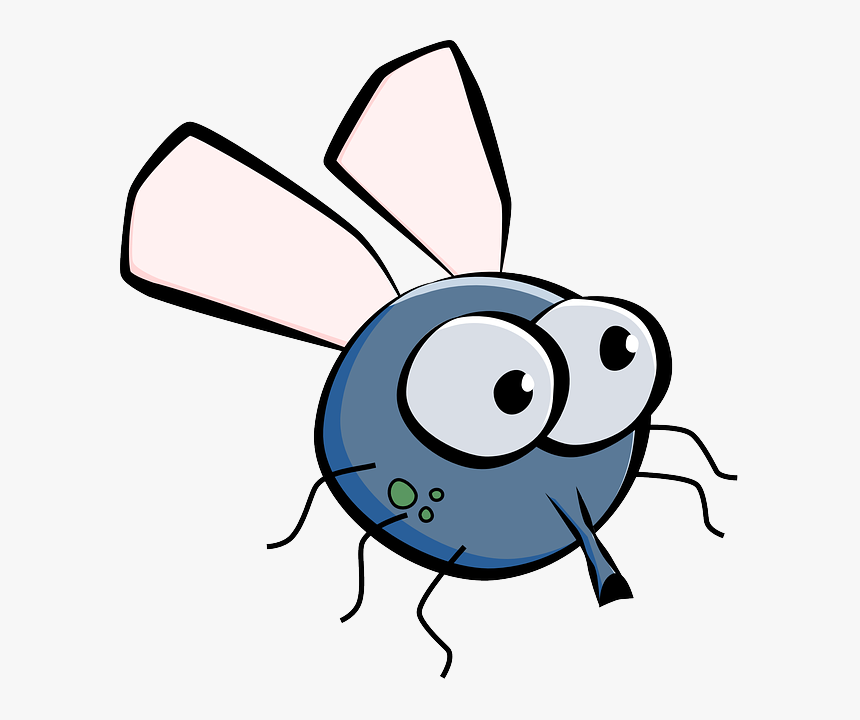Cartoon Fly, HD Png Download, Free Download