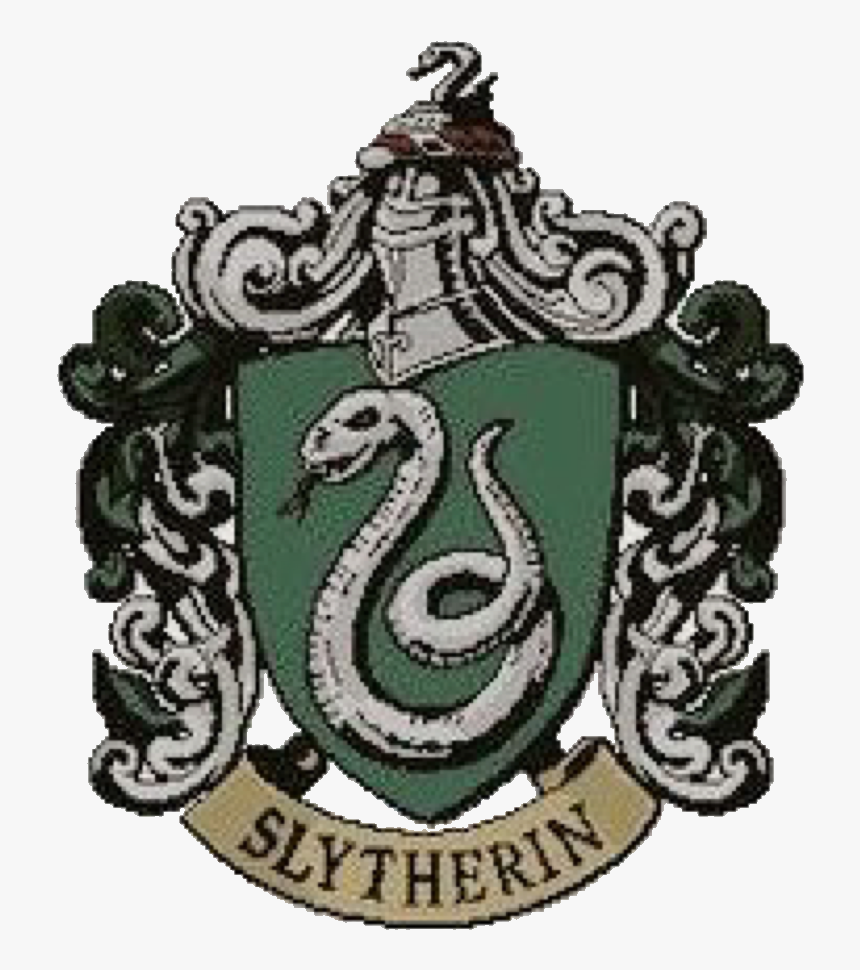 Harry Potter Slytherin And Gryffindor, HD Png Download, Free Download