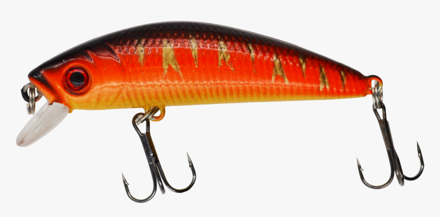 Fish, HD Png Download, Free Download