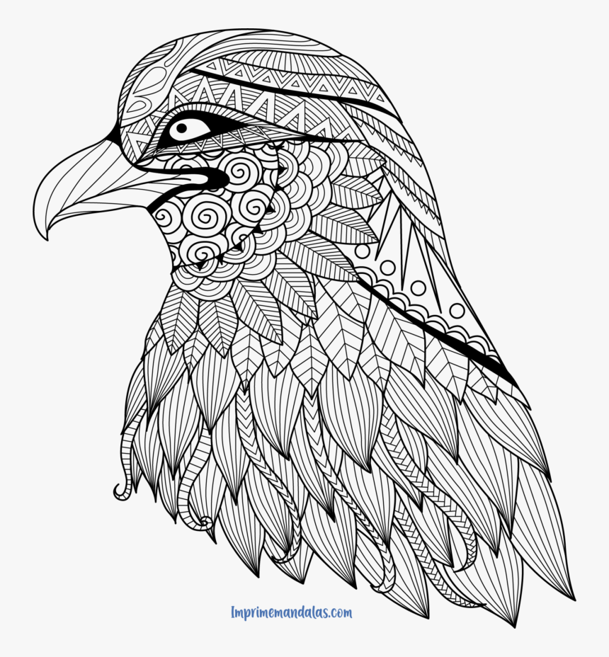 Mandala De Animales Aguila - Zentangle Eagle Coloring Pages, HD Png Download, Free Download