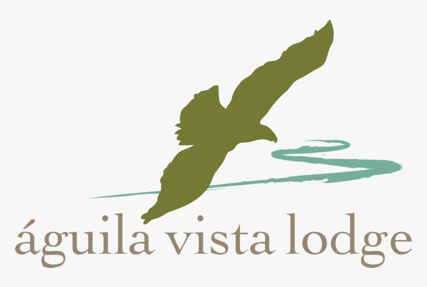 Graphic Design, HD Png Download, Free Download