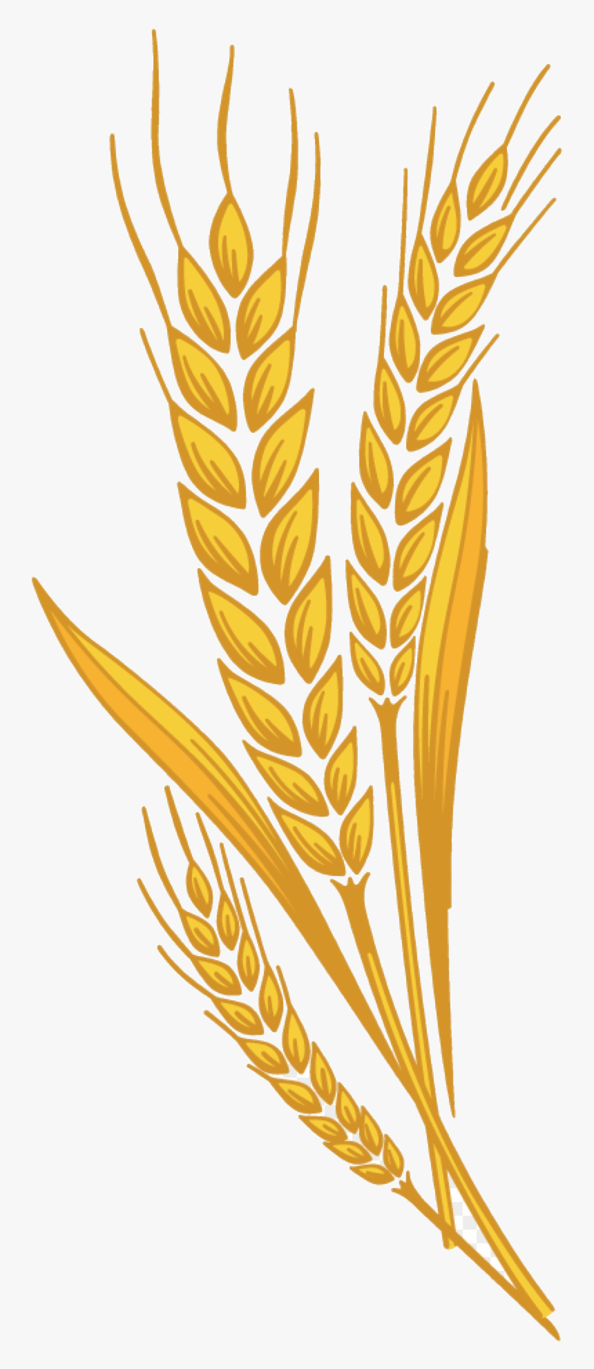 Wheat Prairie Bran Harvest Clipart Free Transparent - Harvest Wheat Clipart, HD Png Download, Free Download