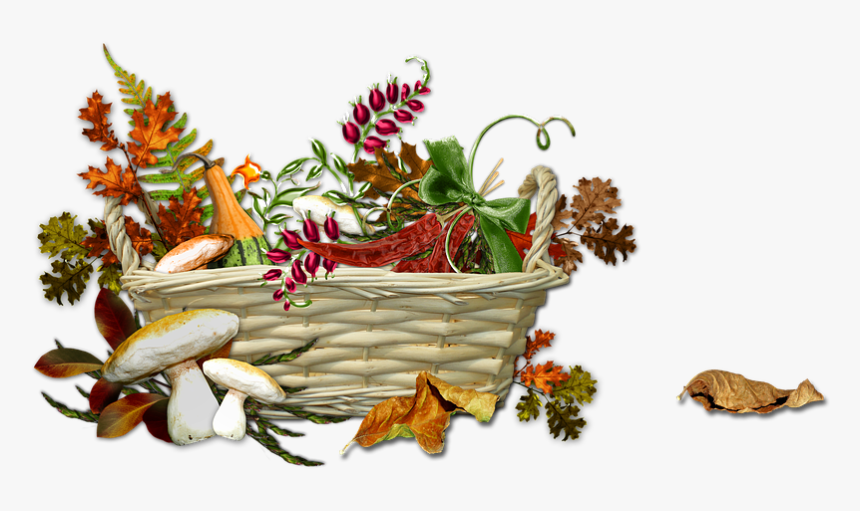 Autumn, Harvest, Season, Ripe, Nature, Basket - Bouquet, HD Png Download, Free Download
