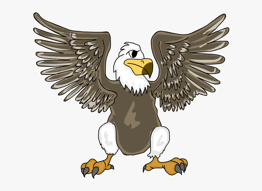 Bald Eagle, HD Png Download, Free Download