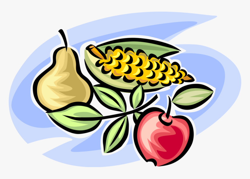 Vector Illustration Of Fall Or Autumn Harvest Fruit, HD Png Download, Free Download