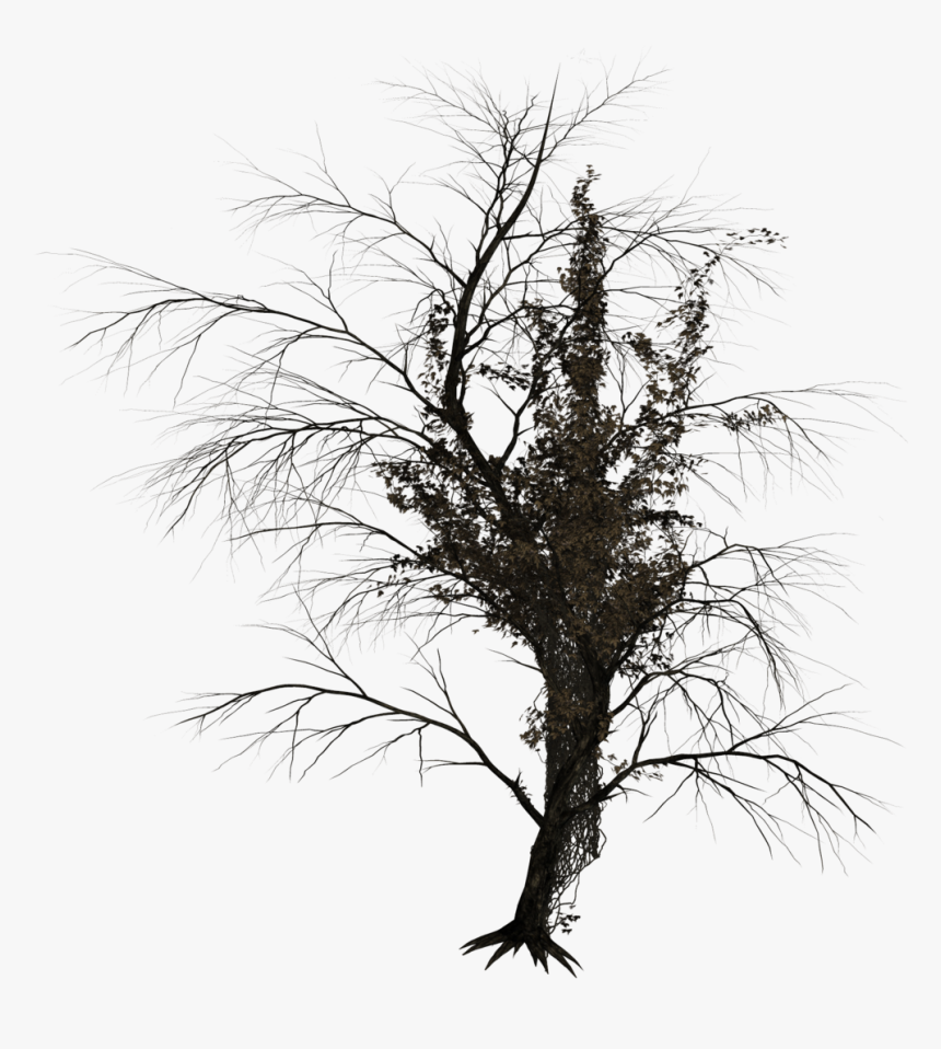 September Trees Png - Dark Tree No Background, Transparent Png, Free Download